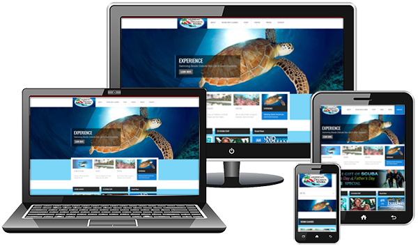 Responsive Website Design